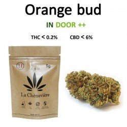 ORANGE BUD FLEUR - LA CHÈNEVIÈRE CBD