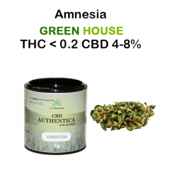 Fleur de CBD Amnésia Authantica - La Chènevière CBD